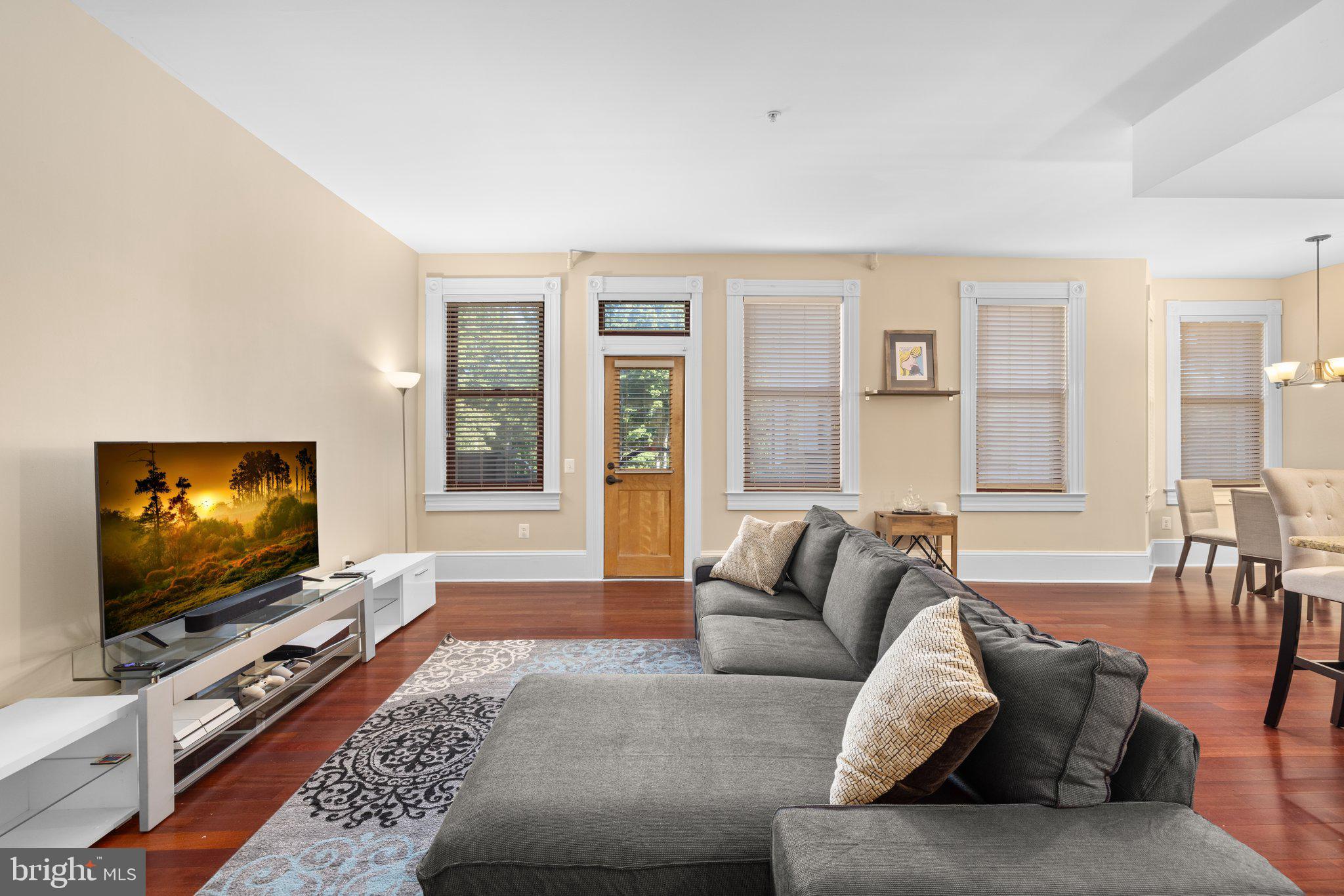 9610 Dewitt Drive, Unit SH205 Silver Spring, MD 20910 - Photo 6 of 21 Living Room