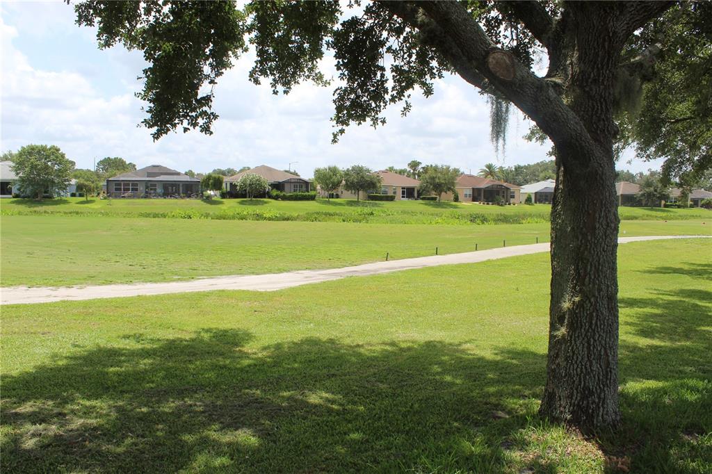 4110 Arlington Ridge Boulevard Leesburg, FL 34748 - Photo 23 of 33 a view of an ocean from a yard