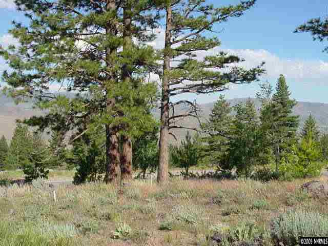 4695 West Pinewild Road Reno, NV 89511 - Photo 3 of 4 Photo 3