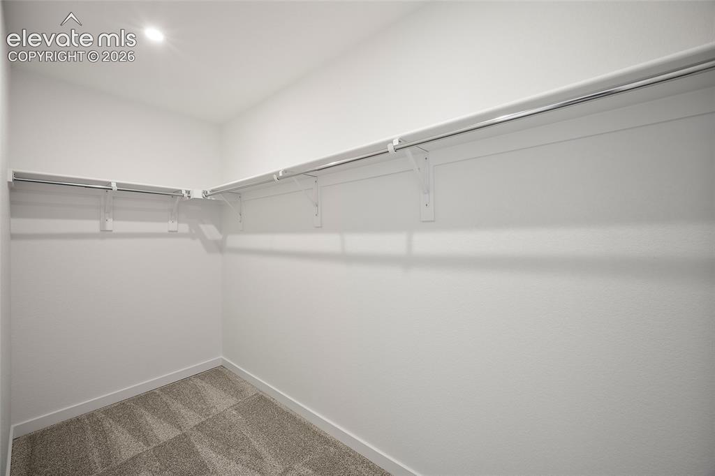 2240 Peridot Loop Colorado Springs, CO 80908 - Photo 22 of 31