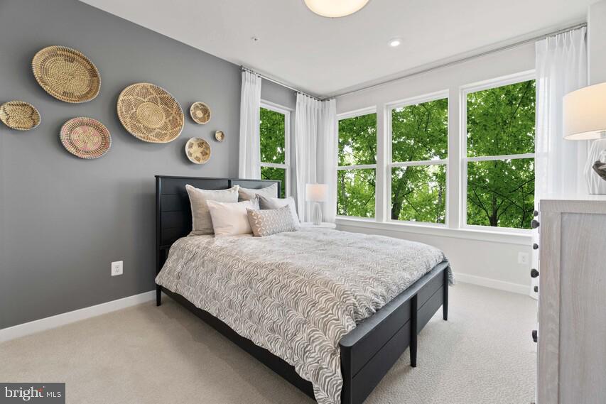 44516 Newfoundland Square Ashburn, VA 20147 - Photo 14 of 25