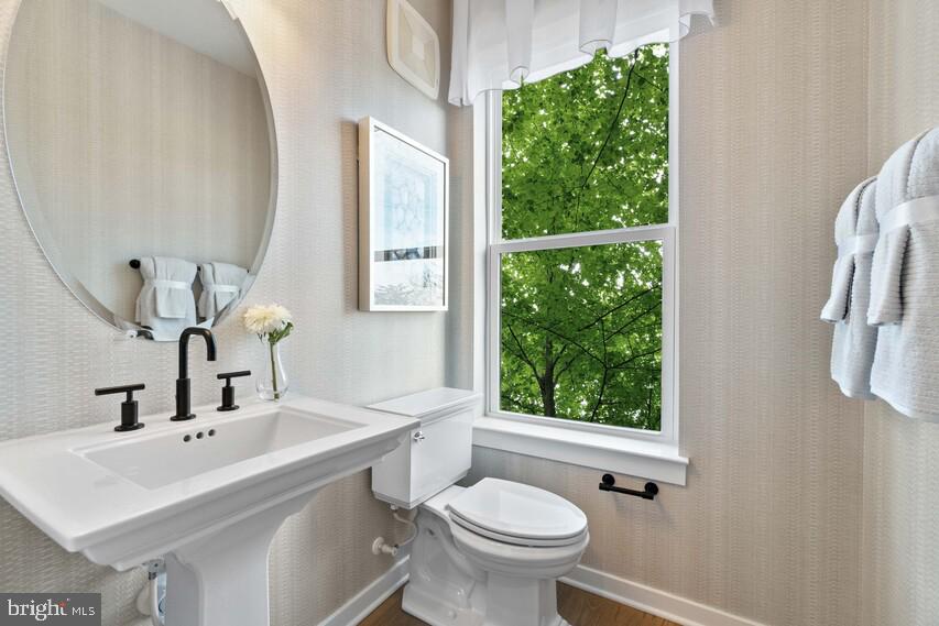 44516 Newfoundland Square Ashburn, VA 20147 - Photo 7 of 25