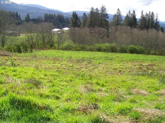 Skyview Road, Unit LOT26 Tillamook, OR 97141 - Photo 1 of 14 Gallery Image 1