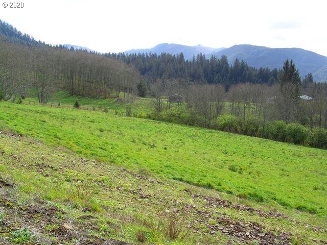 Skyview Road, Unit LOT26 Tillamook, OR 97141 - Photo 5 of 14 Gallery Image 5