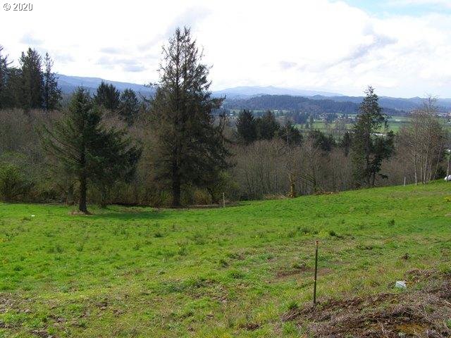 Skyview Road, Unit LOT26 Tillamook, OR 97141 - Photo 6 of 14 Gallery Image 6