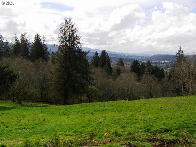 Skyview Road, Unit LOT26 Tillamook, OR 97141 - Photo 8 of 14 Gallery Image 8