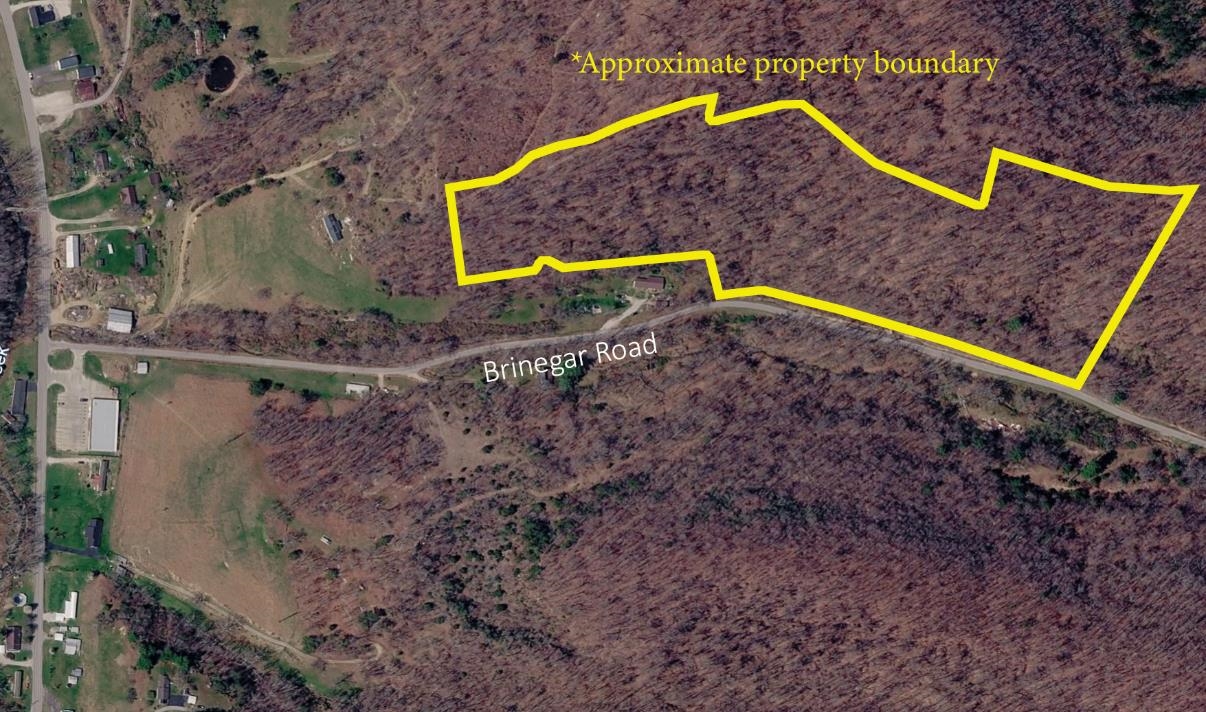 0 Brinegar Road Olive Hill, KY 40351 - Photo 7 of 10