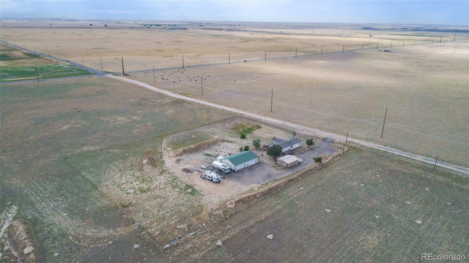 20+ Shooting In Bennett Colorado