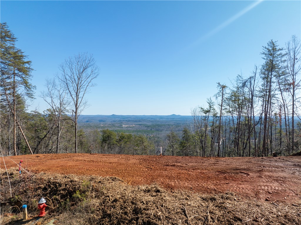 Lot N-16 Jocassee Ridge Way Salem, SC 29676 - Photo 3 of 29