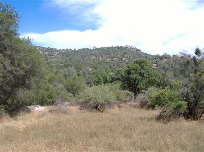 30960 Revis Road Coarsegold, CA 93614 - Photo 5 of 7 Gallery Image 5