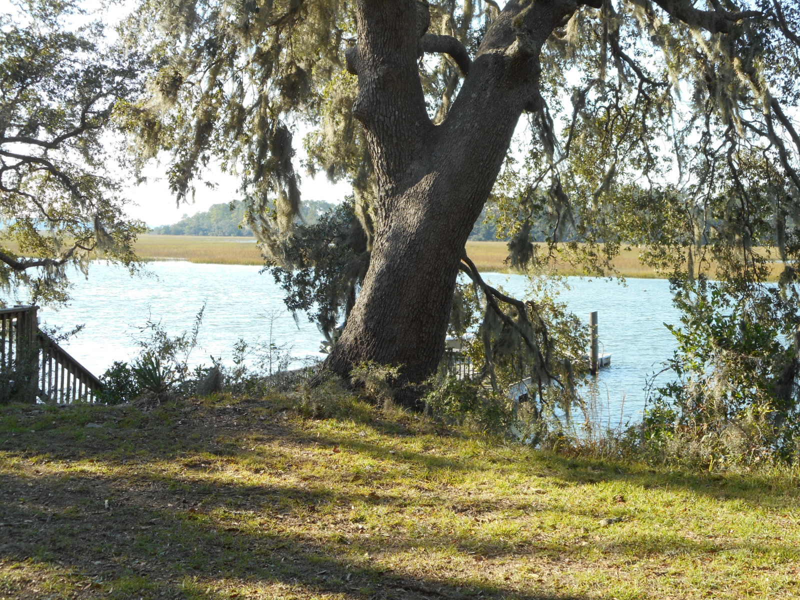 8538 Peters Point Road Edisto Island, SC 29438 - Photo 19 of 43 8538 Peters Pt. (23)
