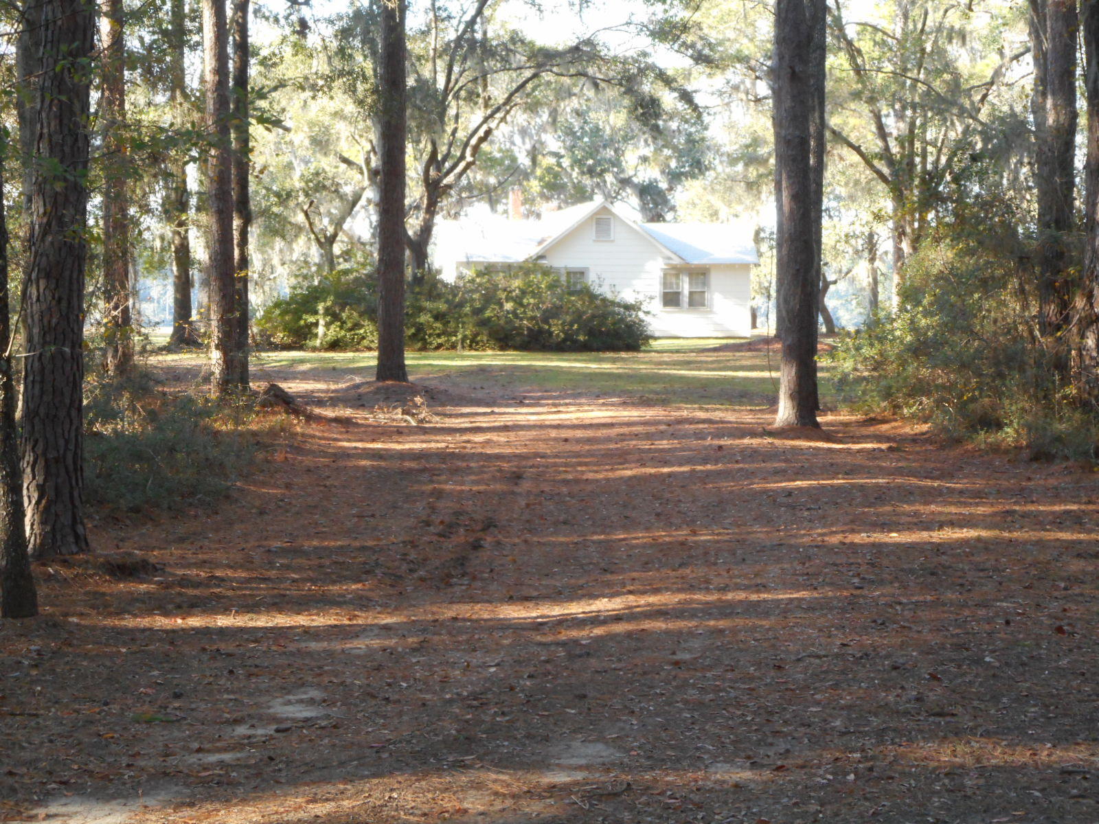 8538 Peters Point Road Edisto Island, SC 29438 - Photo 28 of 43 8538 Peters Pt. (40)