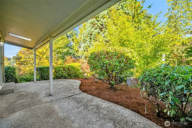 a view of a road with a tree in the background