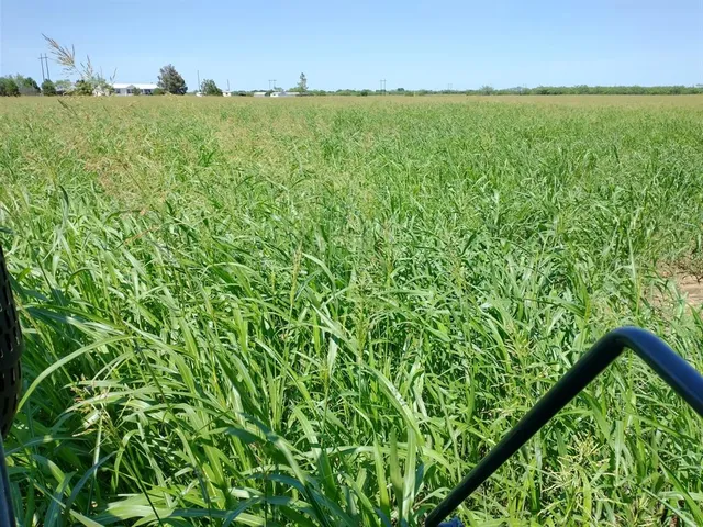 a view of a yard and an outdoor space