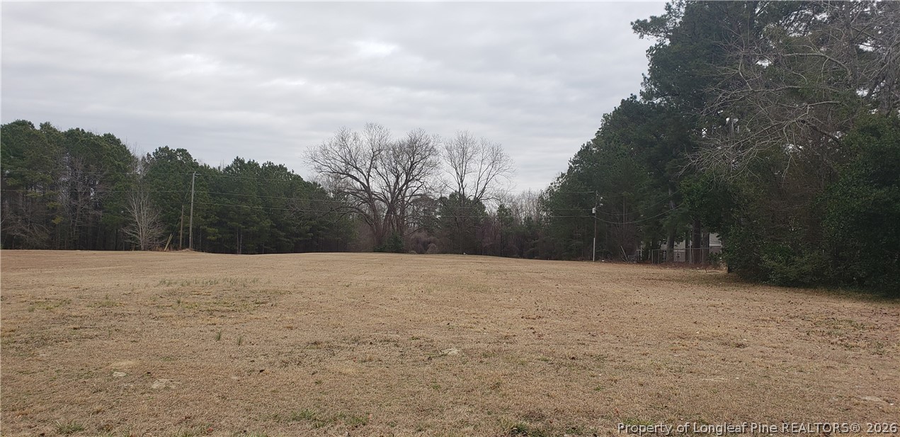 a view of empty field with trees in background