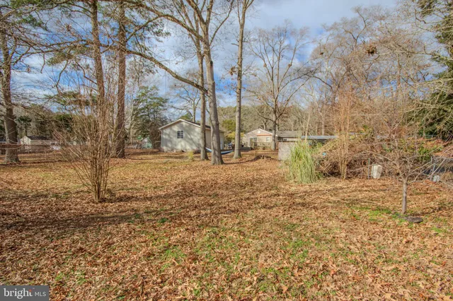 a backyard of a house with lots of green space