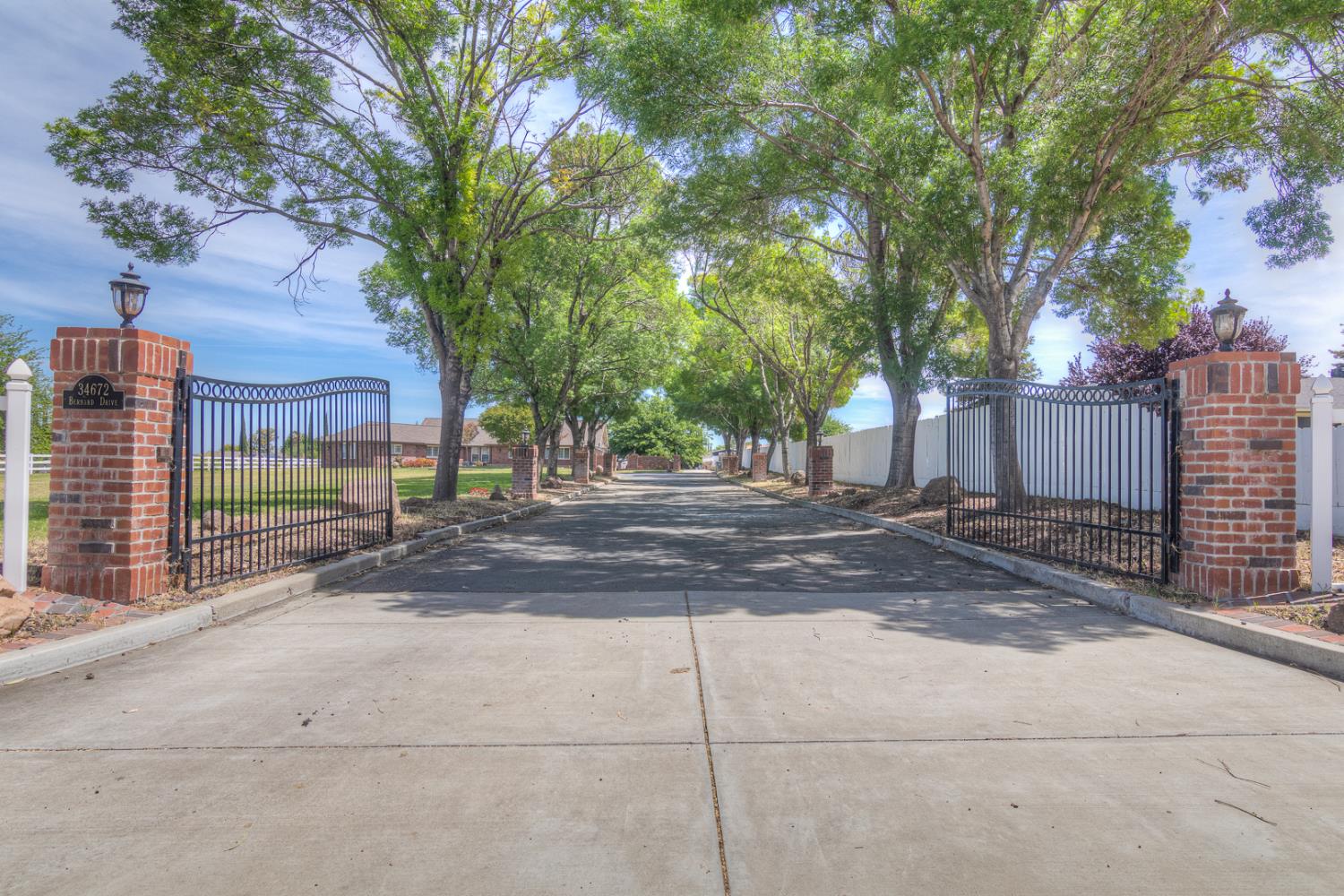 34672 Bernard Road Tracy, CA 95377 - Photo 6 of 80 a view of a yard with plants and trees
