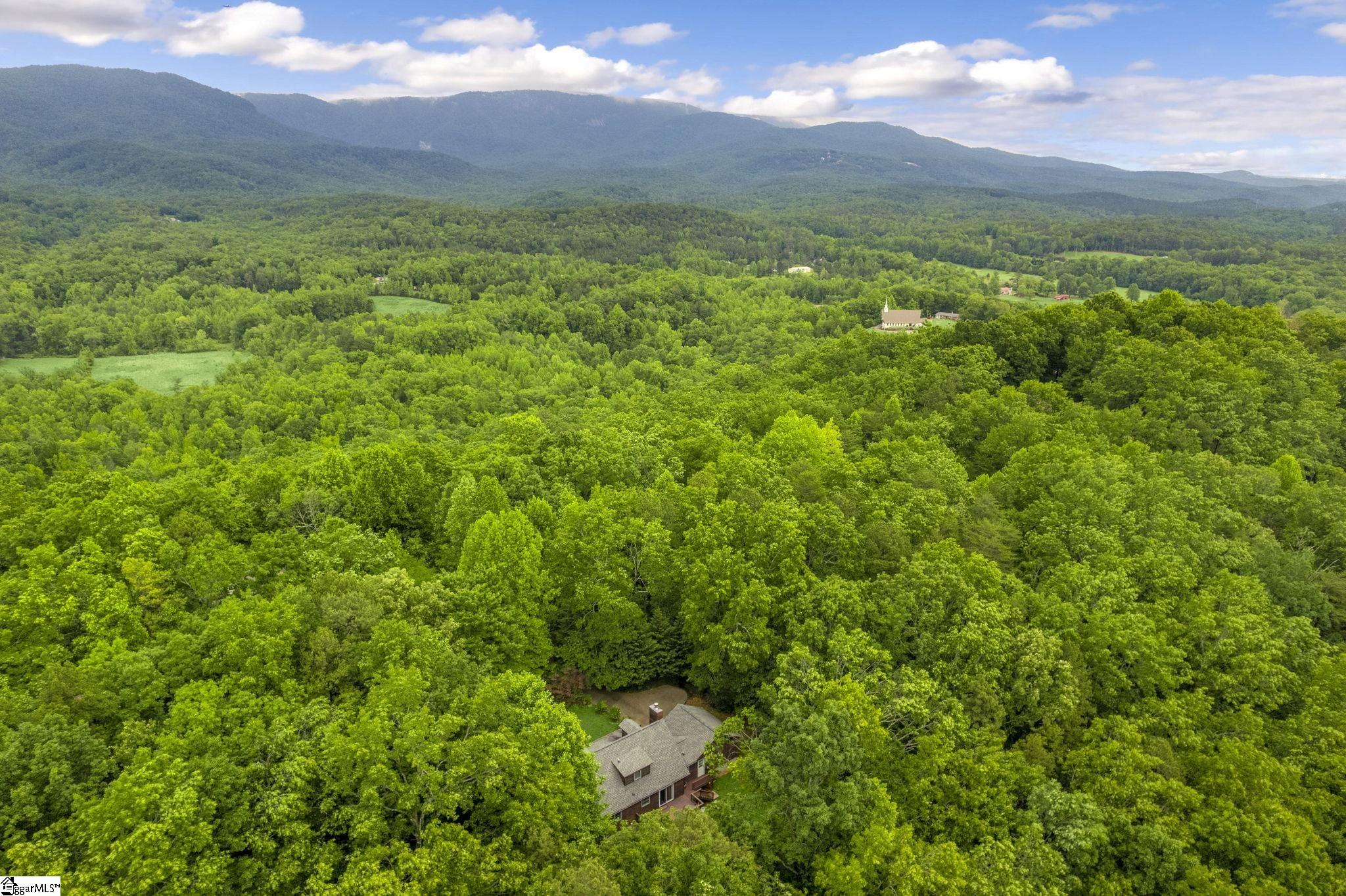 155 Cold Mountain View Cleveland, SC 29635 - Photo 33 of 36