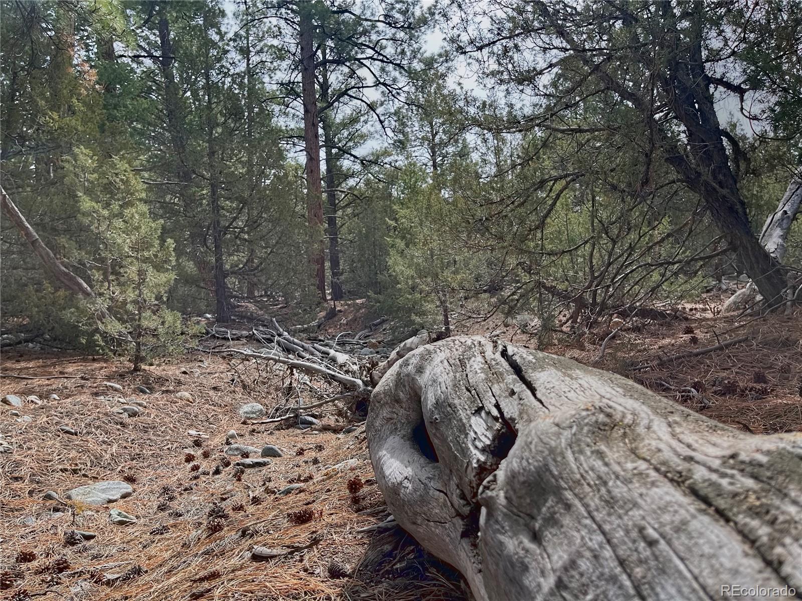 54-56 Big Bear Road Mosca, CO 81146 - Photo 6 of 16 a view of a backyard
