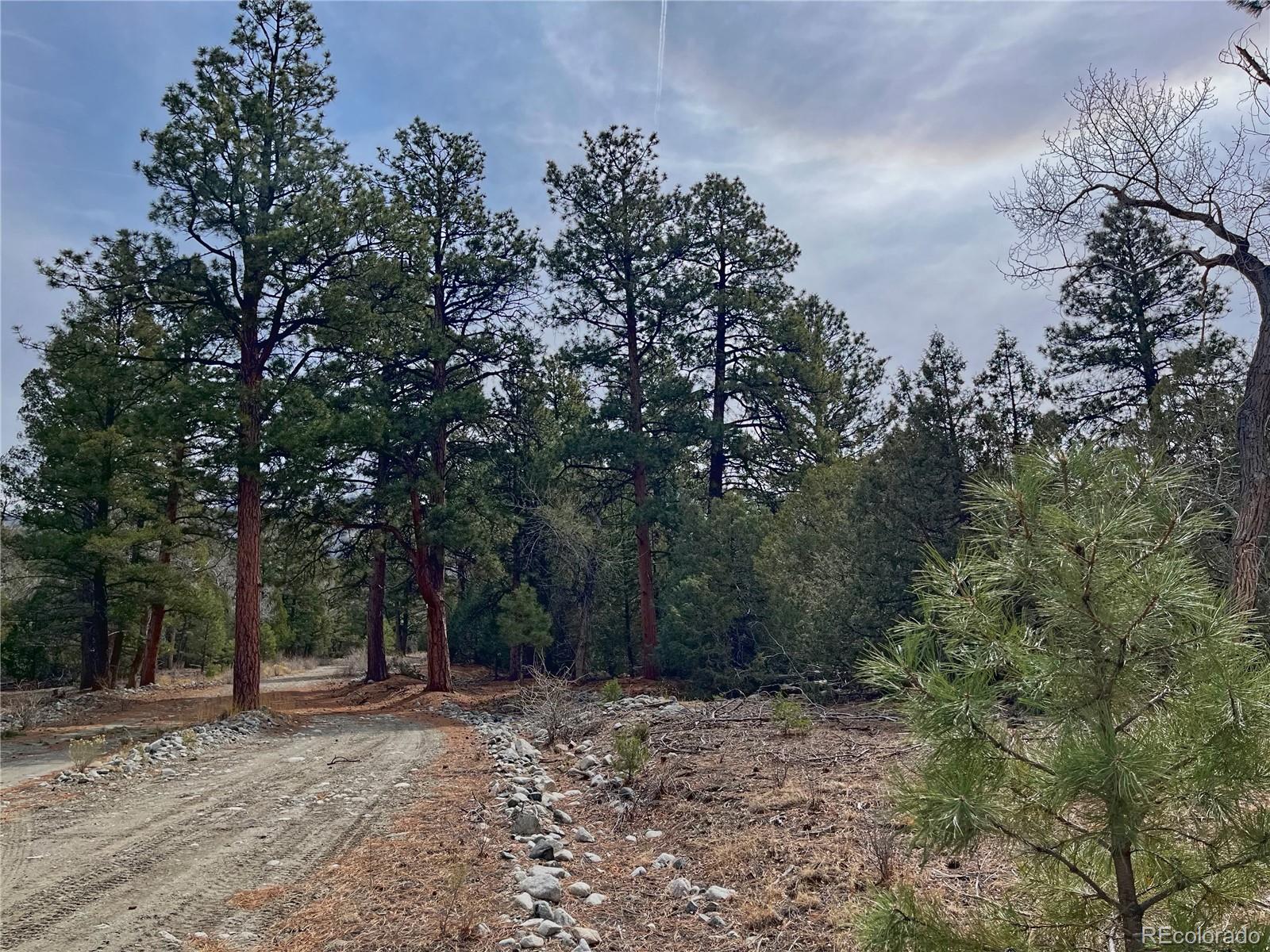 54-56 Big Bear Road Mosca, CO 81146 - Photo 10 of 16 a backyard of a house with lots of trees