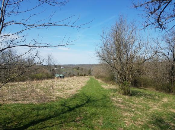 12444 Antioch Road Rising Sun, IN 47040 - Photo 12 of 28