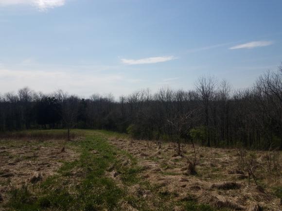 12444 Antioch Road Rising Sun, IN 47040 - Photo 16 of 28