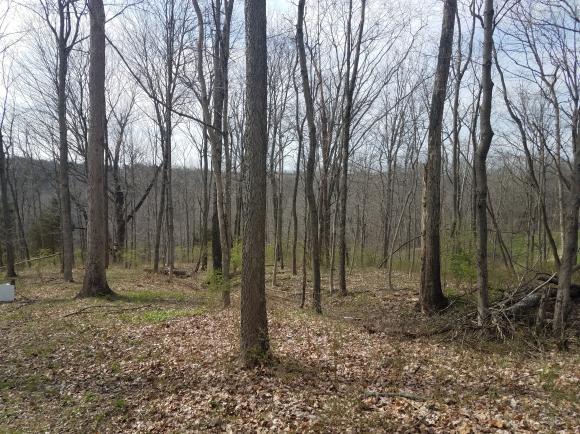 12444 Antioch Road Rising Sun, IN 47040 - Photo 22 of 28