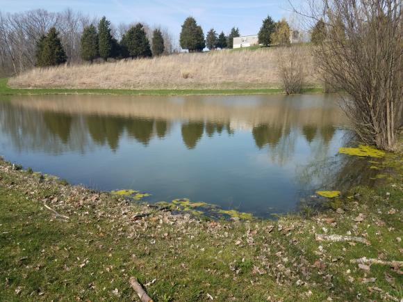 12444 Antioch Road Rising Sun, IN 47040 - Photo 27 of 28