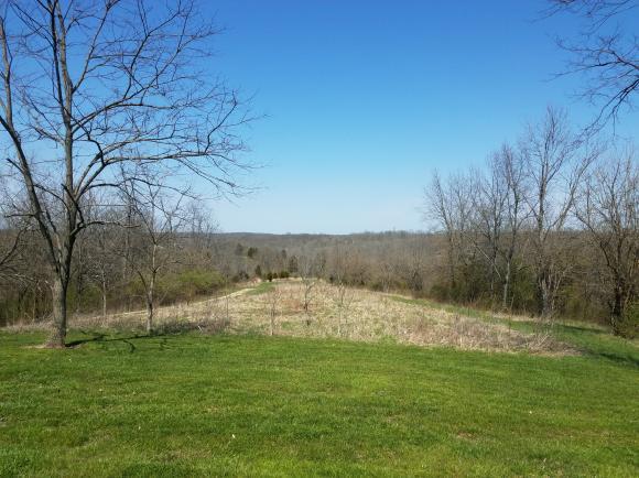 12444 Antioch Road Rising Sun, IN 47040 - Photo 4 of 28