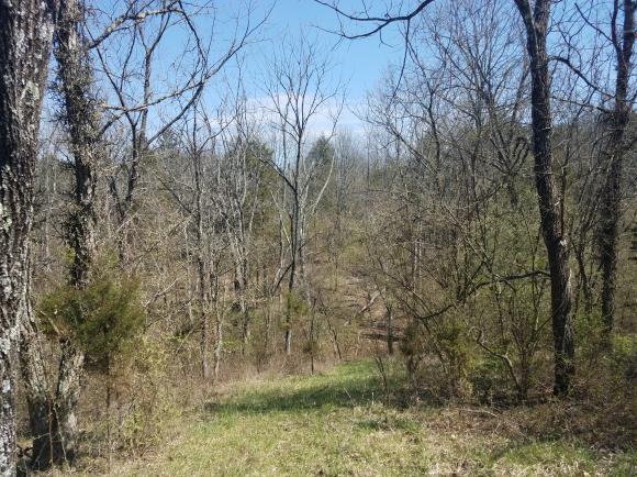 12444 Antioch Road Rising Sun, IN 47040 - Photo 10 of 28