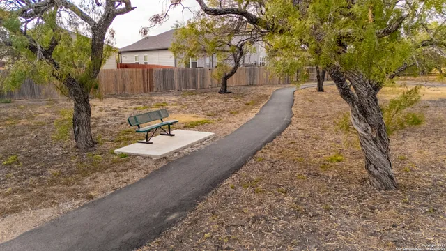 a view of a yard with trees