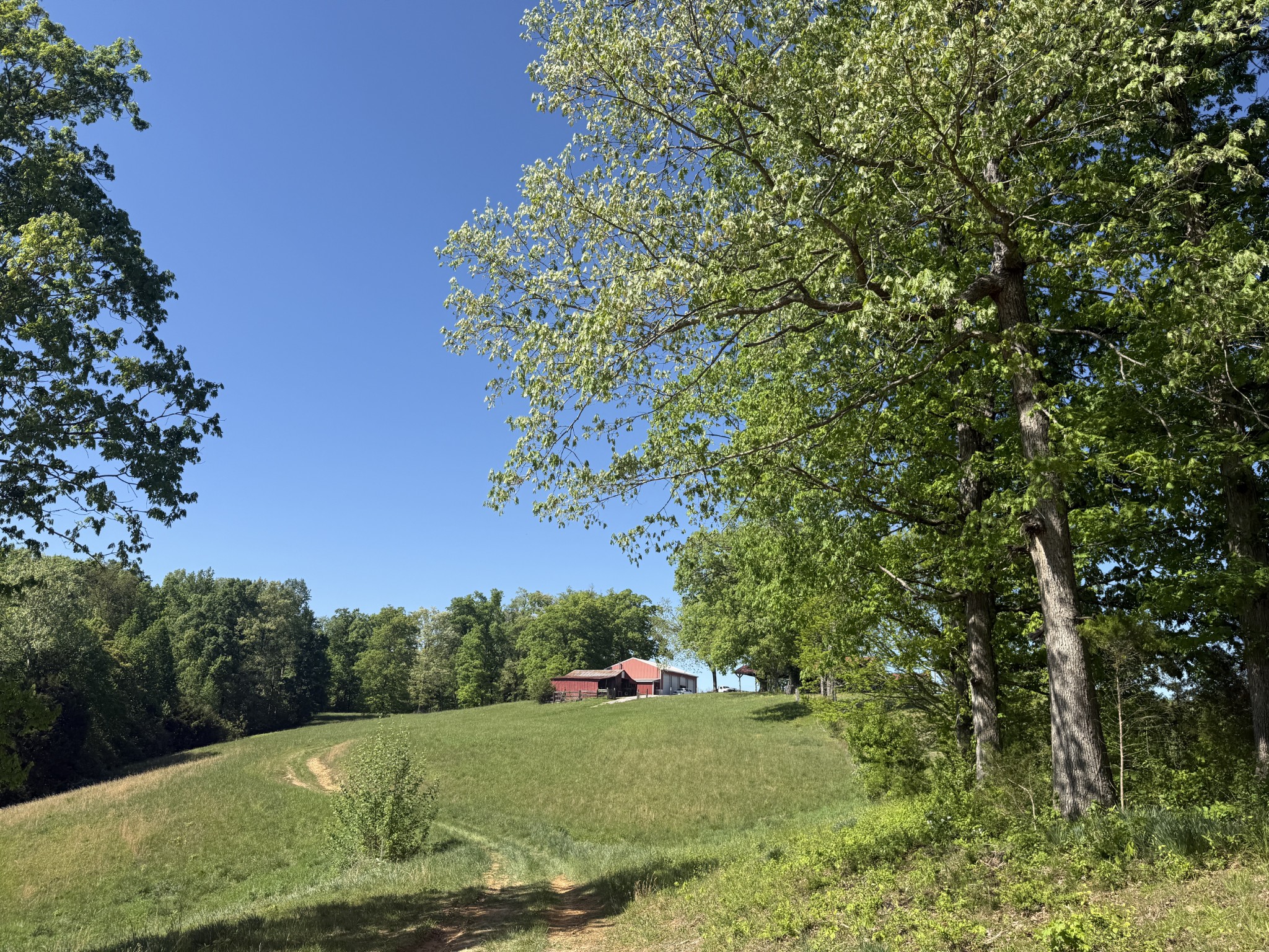 540 Powell Hollow Road Tullahoma, TN 37388 - Photo 84 of 99 Gallery Image 84