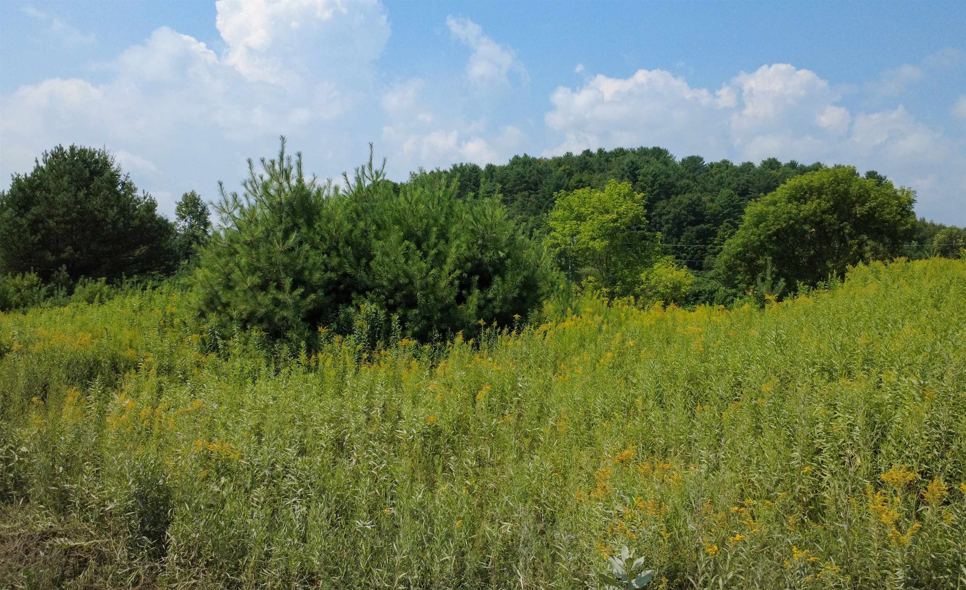 0 New Boston Road, Unit 4 St. Johnsbury, VT 05819 - Photo 4 of 4