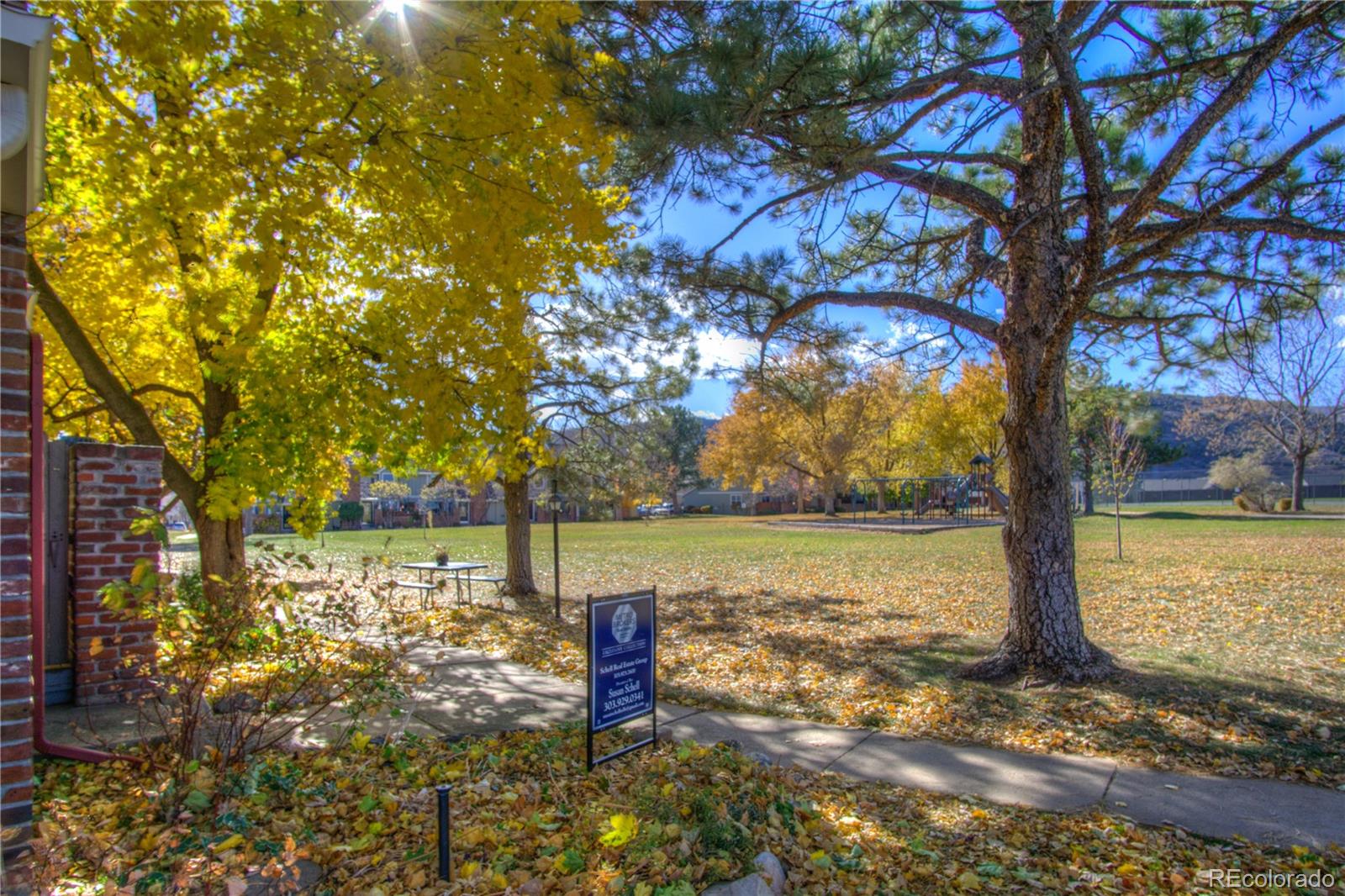 11781 West Elk Head Range Road Littleton, CO 80127 - Photo 3 of 48 a view of a lake with a large tree