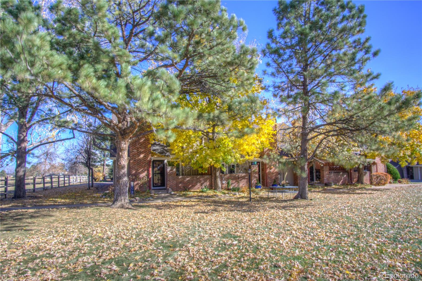11781 West Elk Head Range Road Littleton, CO 80127 - Photo 40 of 48 a view of road with trees