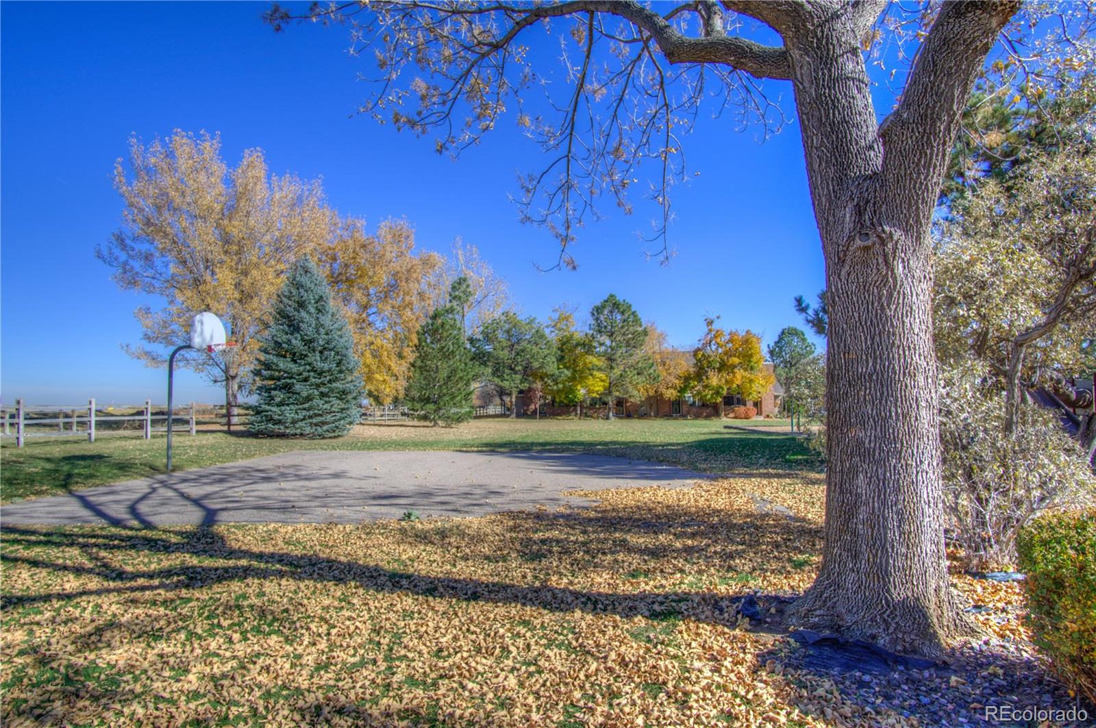 11781 West Elk Head Range Road Littleton, CO 80127 - Photo 41 of 48 a view of a yard with wooden fence