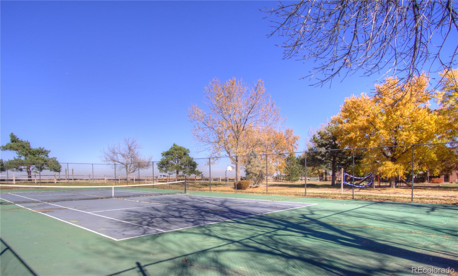 11781 West Elk Head Range Road Littleton, CO 80127 - Photo 42 of 48 a view of yard with green space