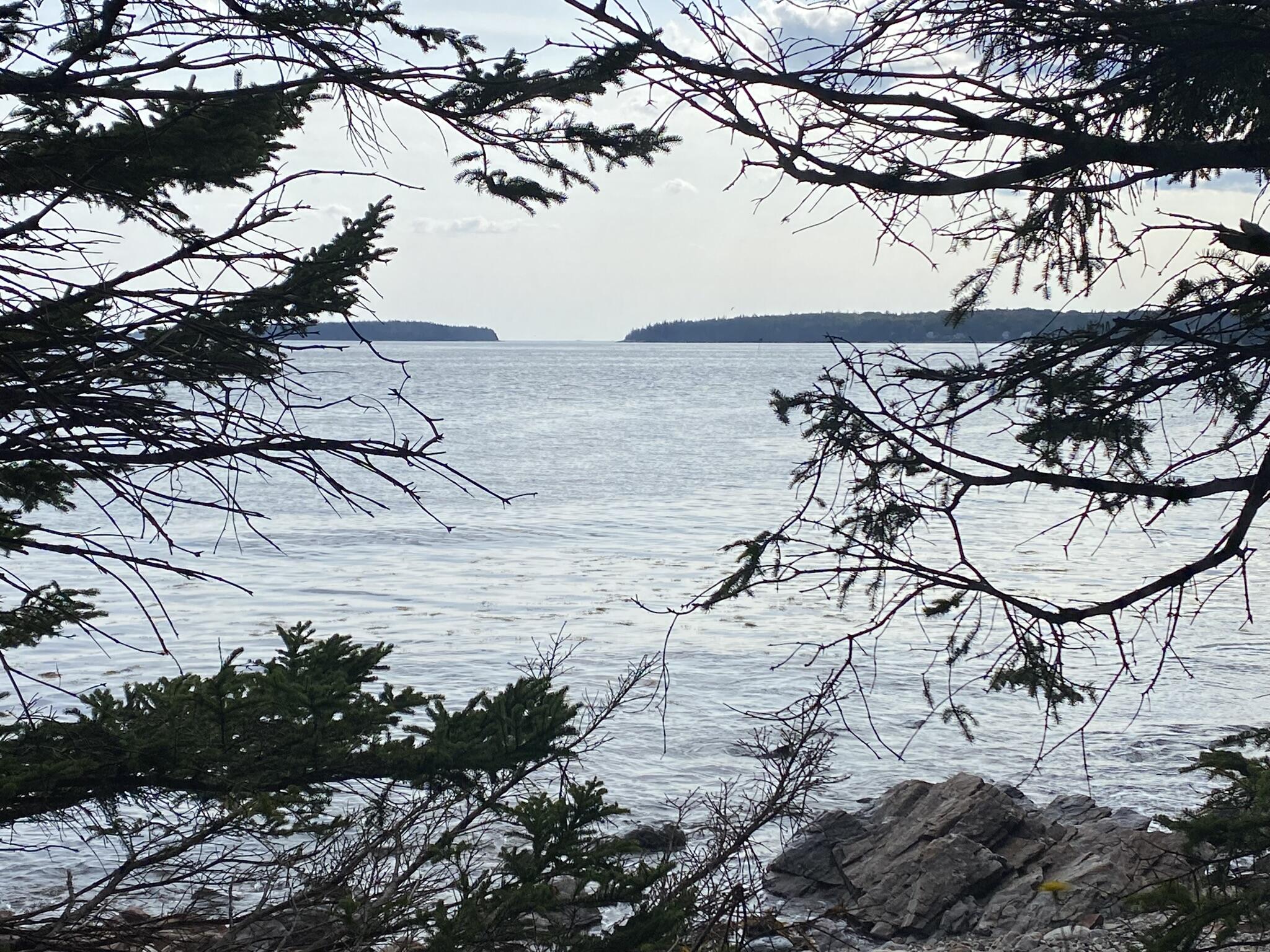 0 Mussel Ridge Lane Owls Head, ME 04854 - Photo 1 of 5 IMG_5775