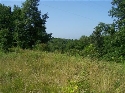546 North Dividing Ridge Road Sadieville, KY 40370 - Photo 1 of 3 Photo 1