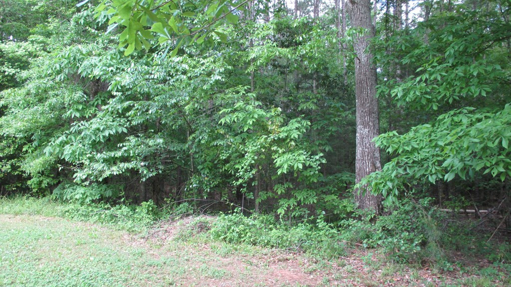 5737 Wrightsboro Road Grovetown, GA 30813 - Photo 25 of 31 Gallery Image 25