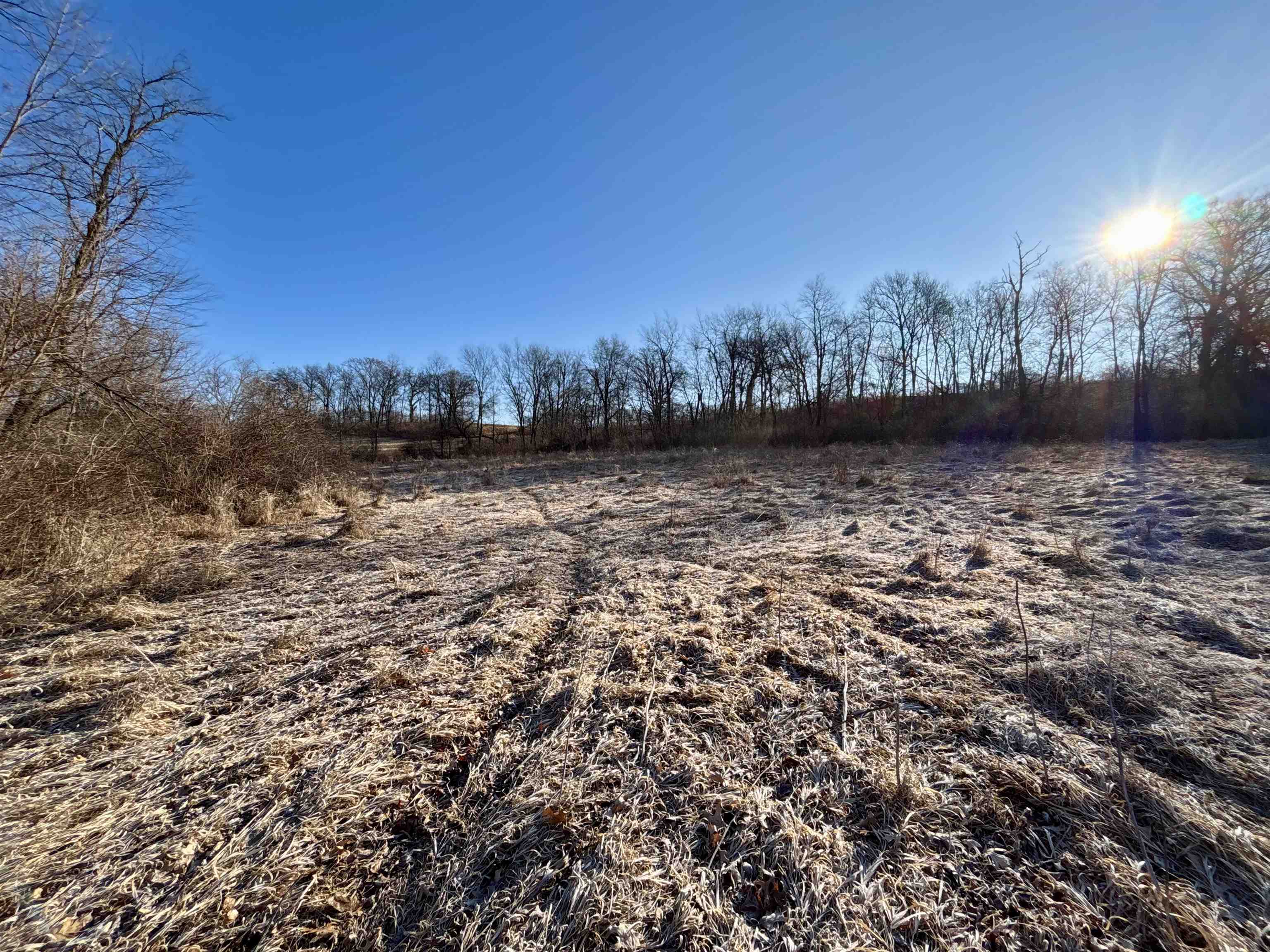 Tbd South Elmoville Road Stockton, IL 61085 - Photo 17 of 29 a view of a large yard with lots of green space