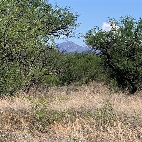 16005 West Ranger Road, Unit 171 Arivaca, AZ 85601 - Photo 2 of 17