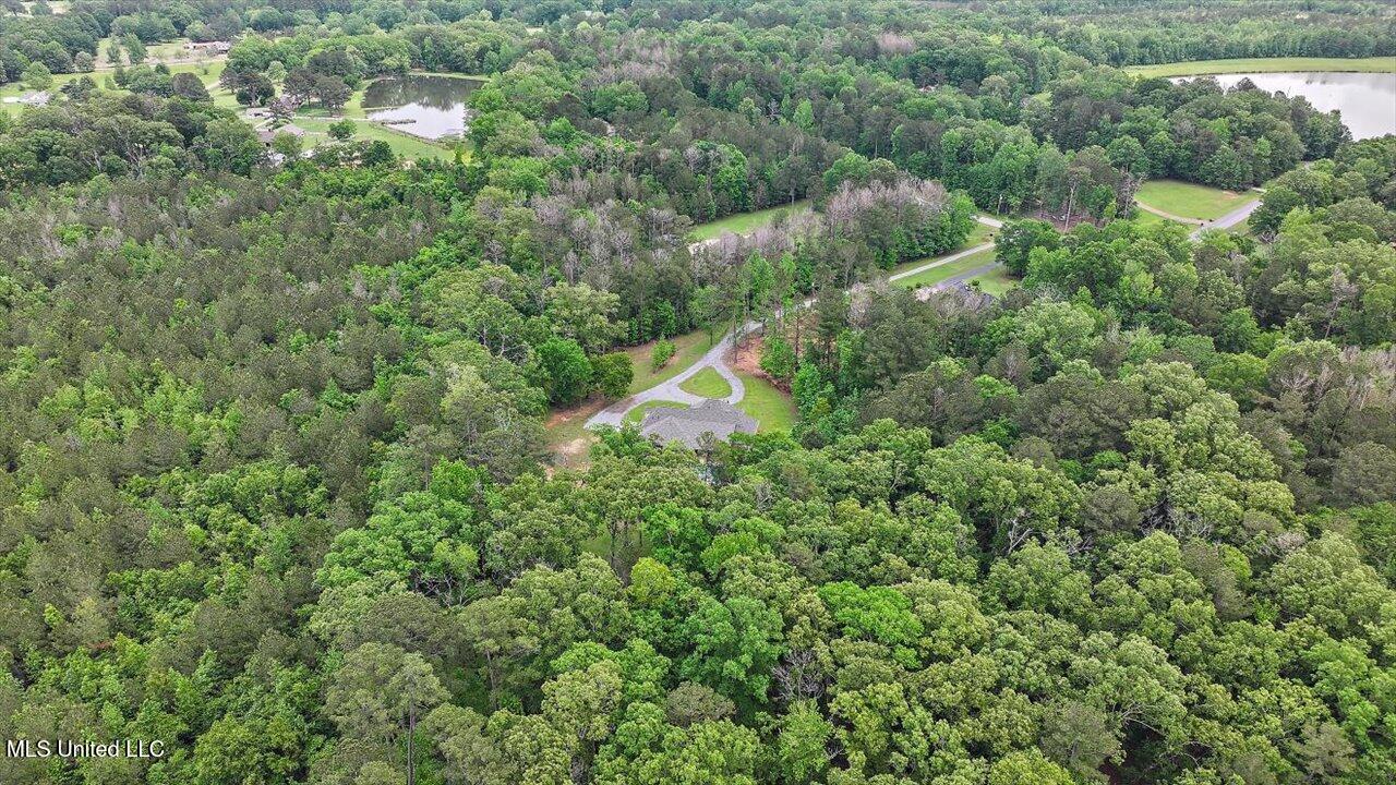 875 Westerly Drive Brandon, MS 39042 - Photo 61 of 84 65-875 Westerly Dr