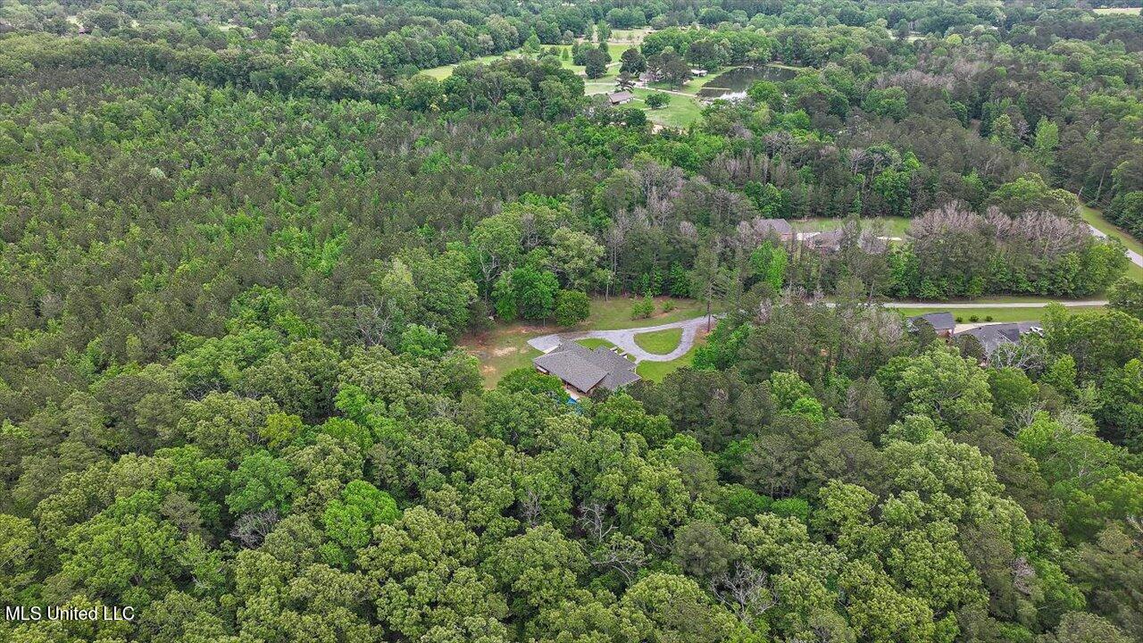 875 Westerly Drive Brandon, MS 39042 - Photo 62 of 84 66-875 Westerly Dr