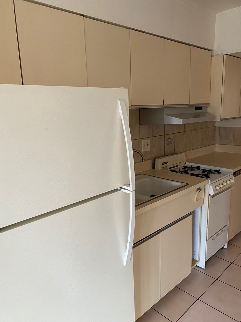 6124 West 79th Street Burbank, IL 60459 - Photo 13 of 19