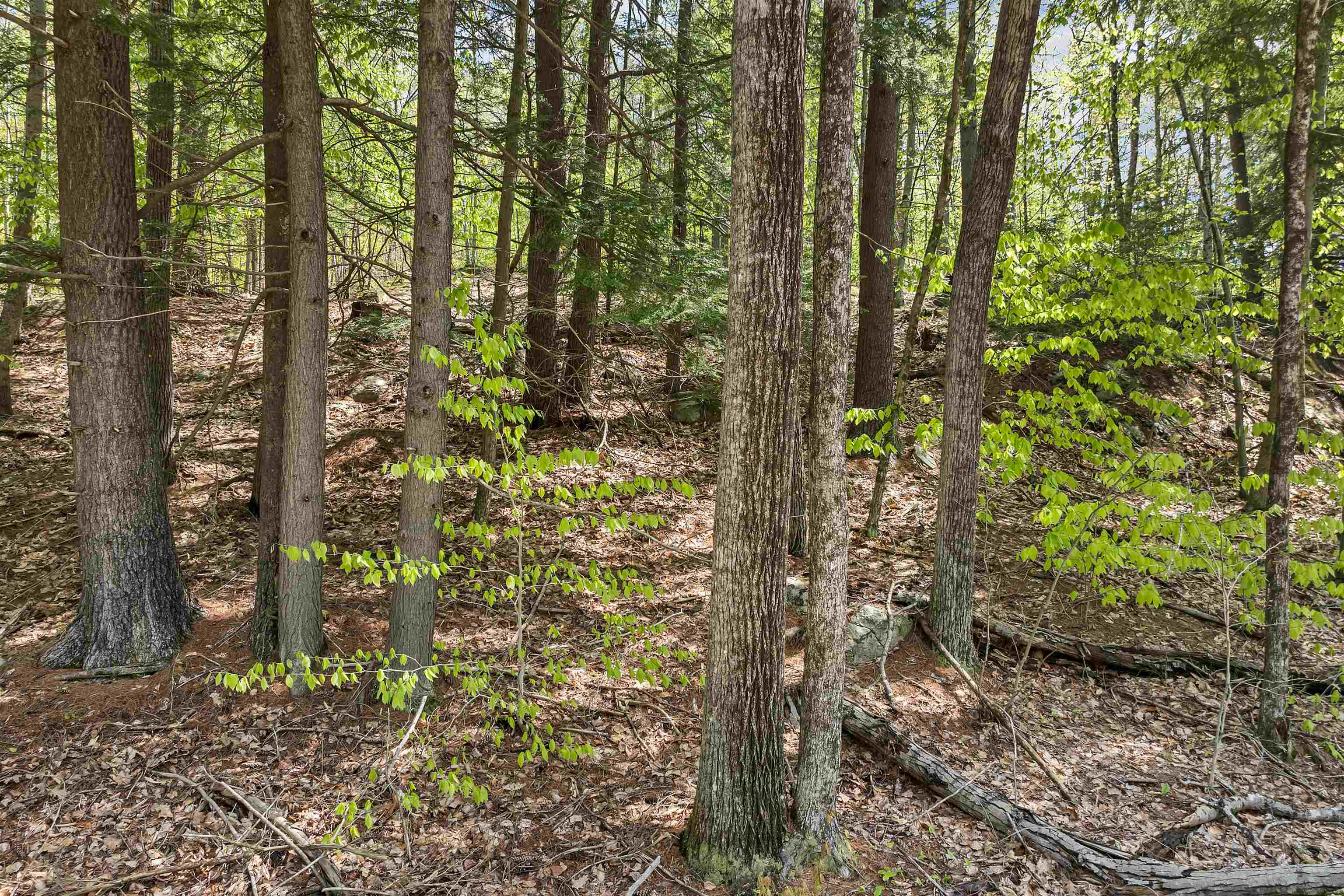 0 Stone Road Gilmanton, NH 03237 - Photo 5 of 11