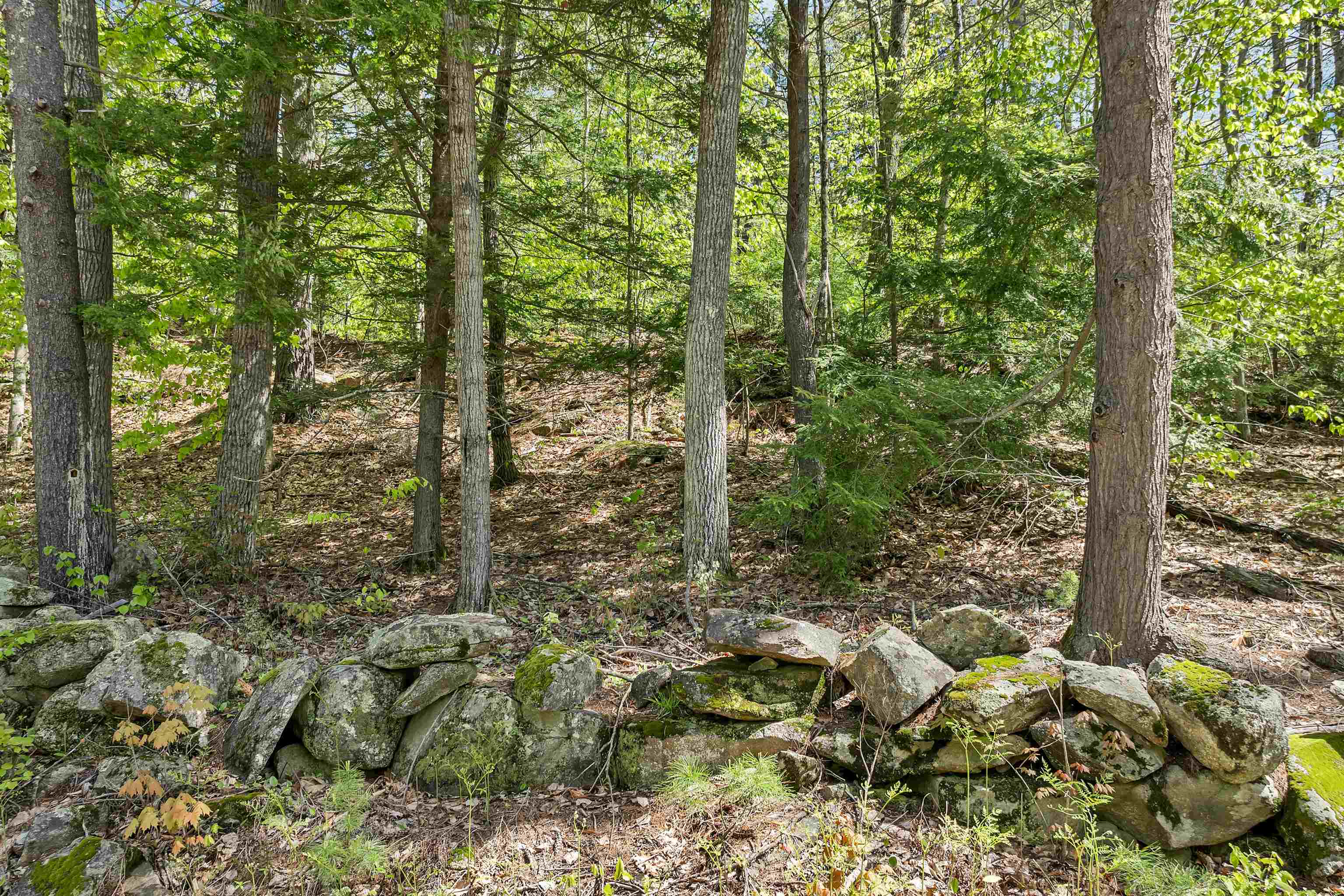 0 Stone Road Gilmanton, NH 03237 - Photo 8 of 11