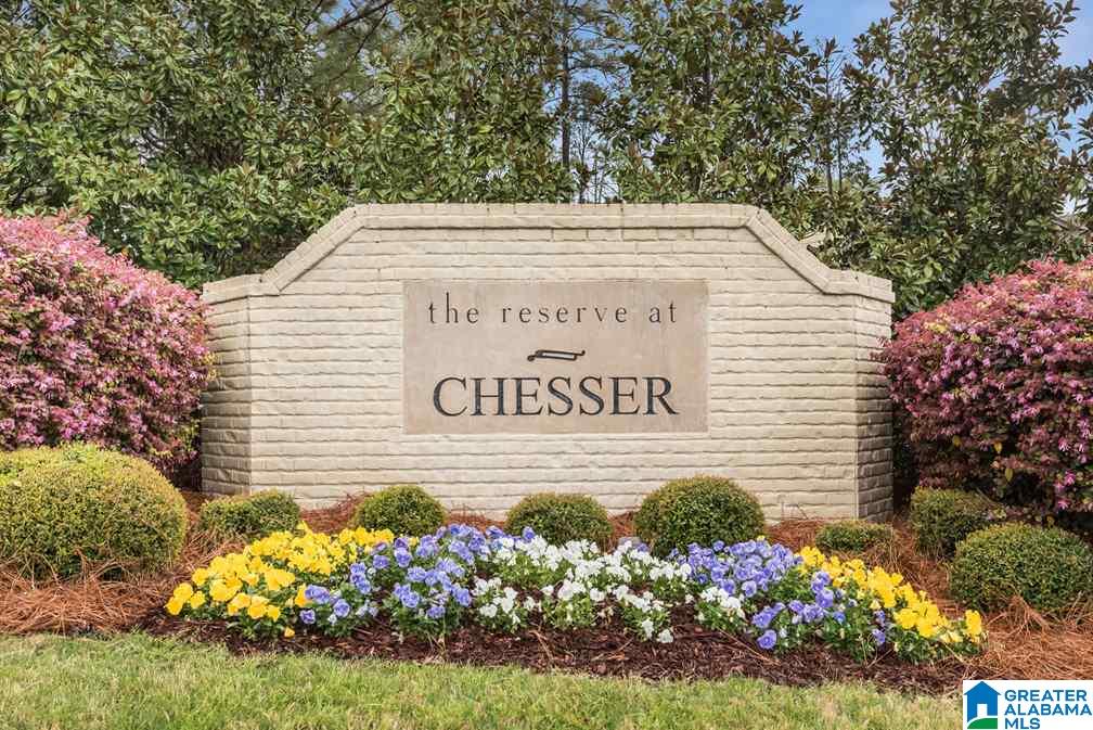 112 Chesser Reserve Drive Chelsea, AL 35043 - Photo 4 of 13