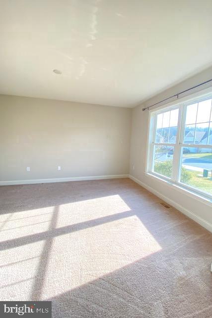 1460 Limestone Ridge Landisville, PA 17538 - Photo 22 of 52