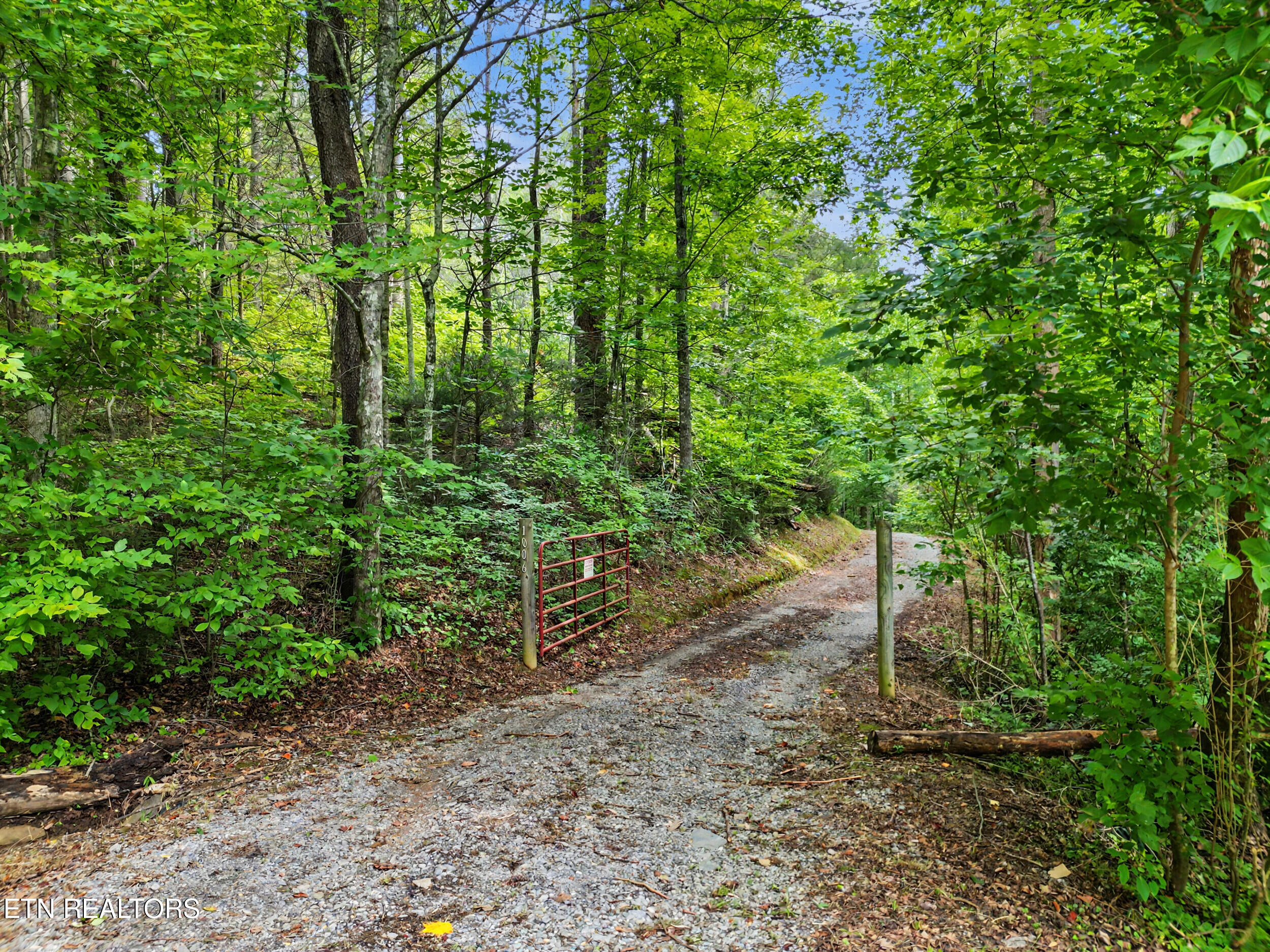 1006 Dry Valley Road Townsend, TN 37882 - Photo 52 of 54 51_dji_0095